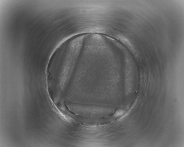 X0000070171184200606162048