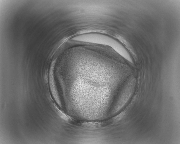 X0000070171185200606162048