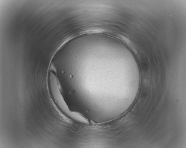 X0000070171186200606162048