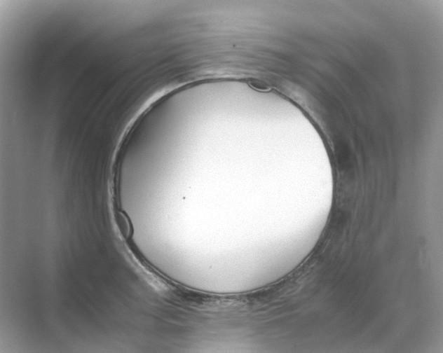 X0000070171187200606162048