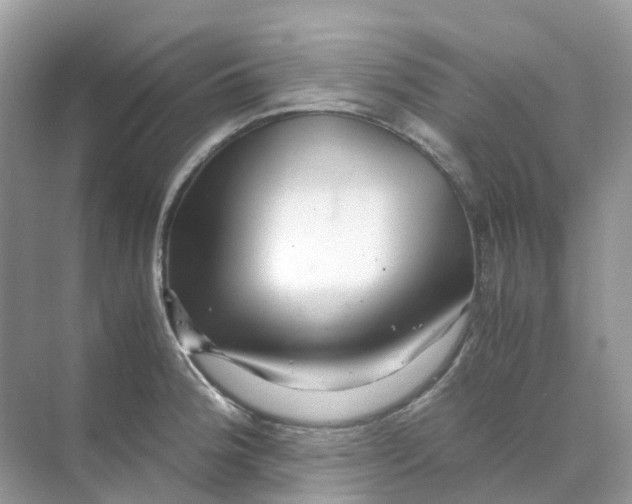 X0000070171188200606162048