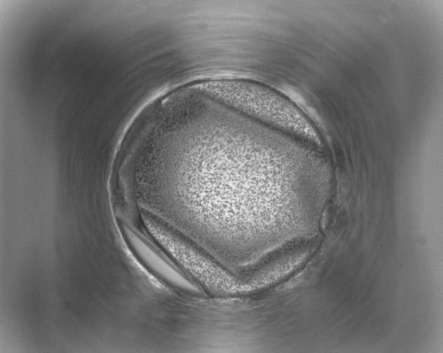 X0000070171189200606162048