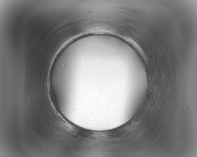 X0000070171191200606162048