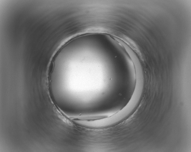 X0000070171192200606162048