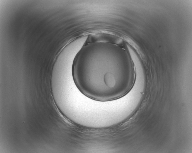 X0000070171193200606162048