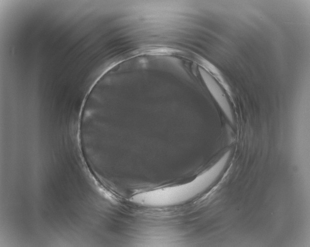 X0000070171194200606162048