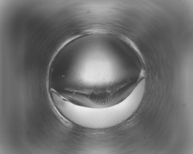 X0000070171195200606162048