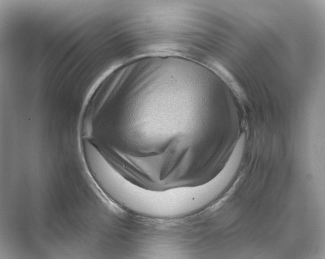 X0000070171196200606162048