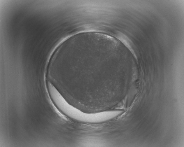 X0000070171197200606162048