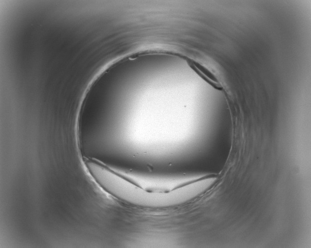 X0000070171199200606162048