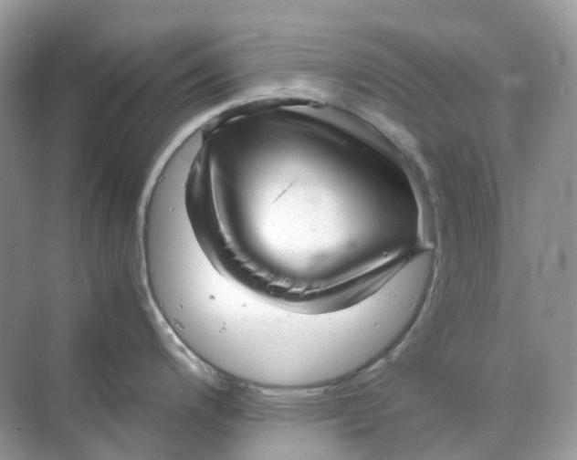 X0000070171200200606162048