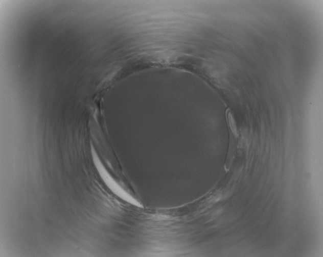 X0000070171202200606162047