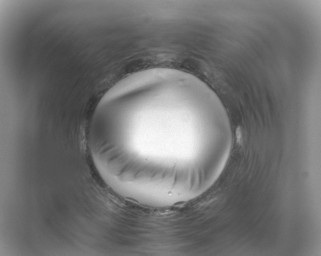 X0000070171203200606162047