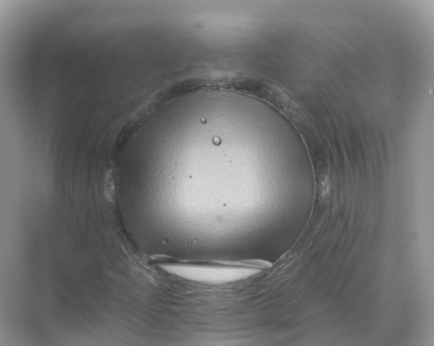 X0000070171204200606162047