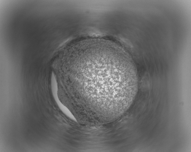 X0000070171205200606162047