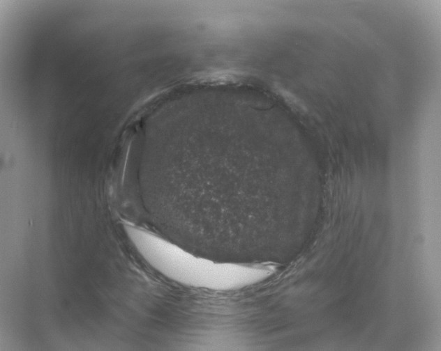 X0000070171206200606162047