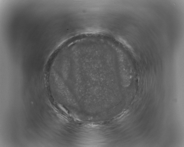 X0000070171208200606162047