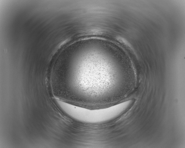 X0000070171210200606162047