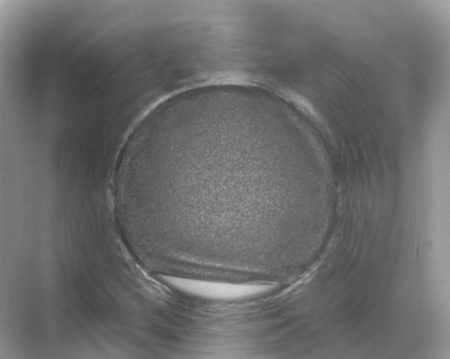 X0000070171212200606162047