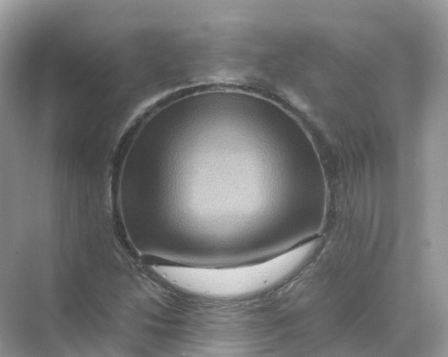 X0000070171214200606162047