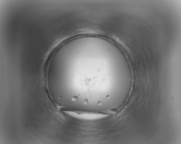 X0000070171215200606162047