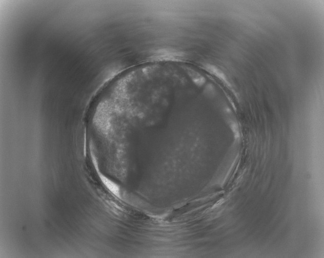 X0000070171219200606162047