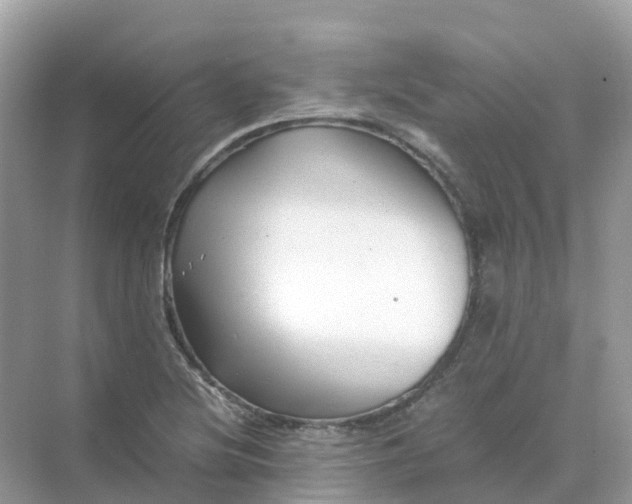 X0000070171220200606162047