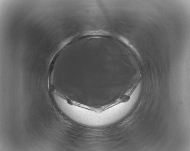 X0000070171221200606162047