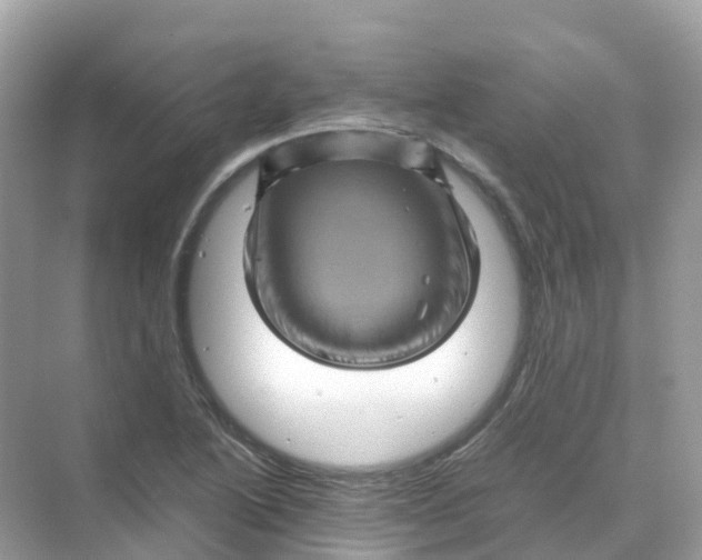 X0000070171222200606162047