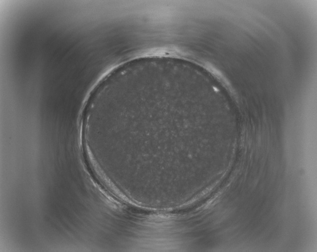 X0000070171224200606162047