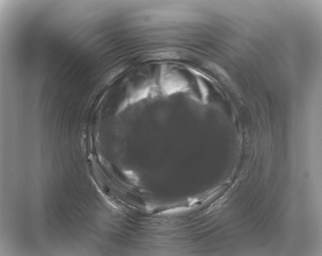 X0000070171225200606162047