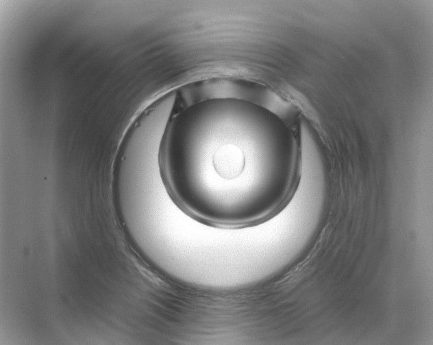 X0000070171226200606162047