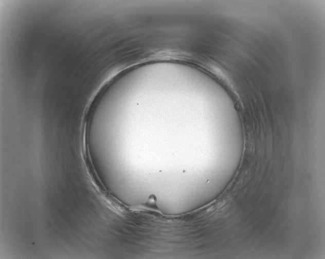 X0000070171227200606162047