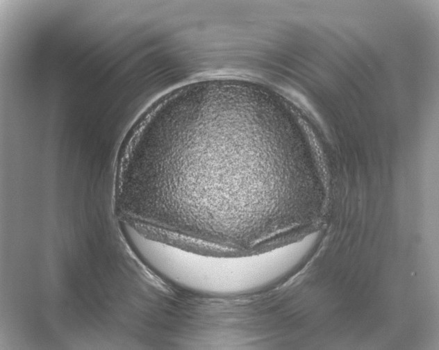 X0000070171228200606162047