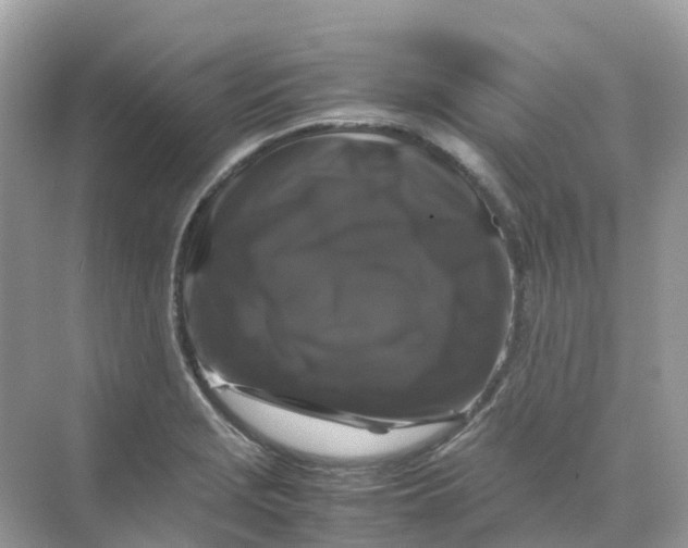 X0000070171229200606162047