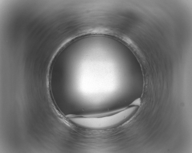 X0000070171232200606162047