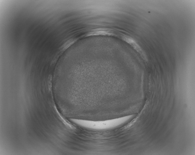 X0000070171233200606162047