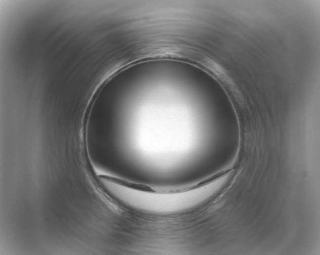 X0000070171234200606162047