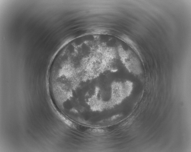 X0000070171235200606162047