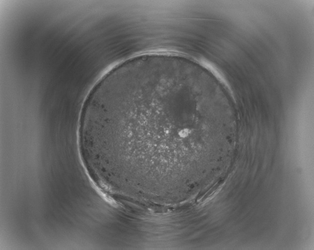 X0000070171237200606162047