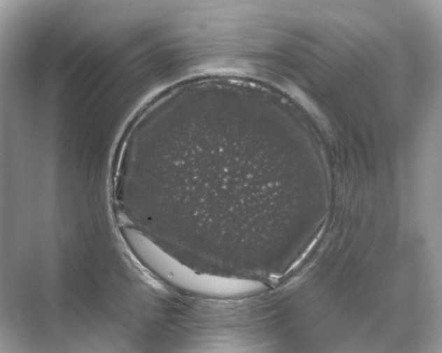 X0000070171240200606162047