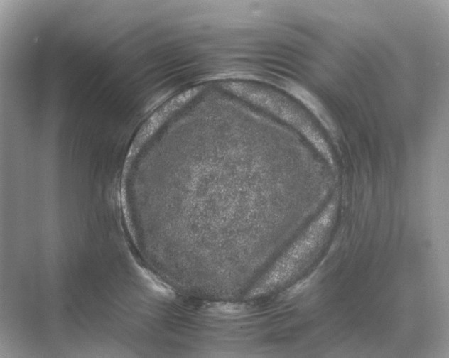 X0000070171241200606162048