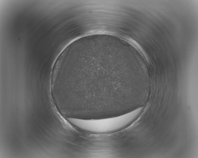 X0000070171244200606162048