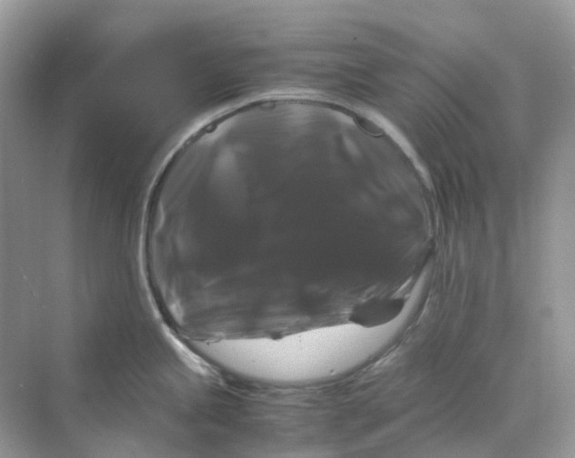 X0000070171245200606162048