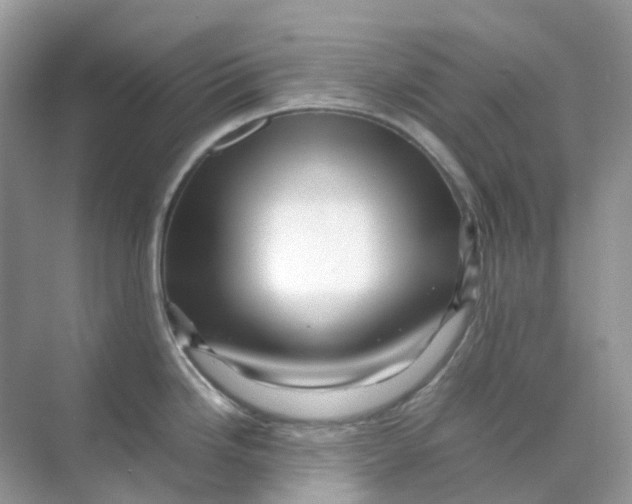 X0000070171246200606162048