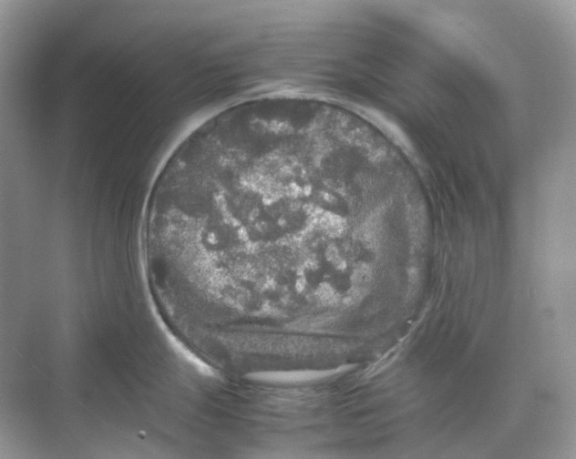 X0000070171247200606162048