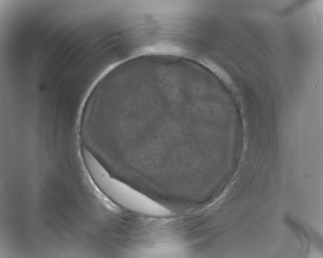 X0000070171248200606162048