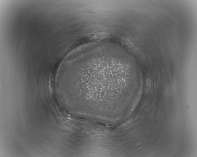 X0000070171250200606162047