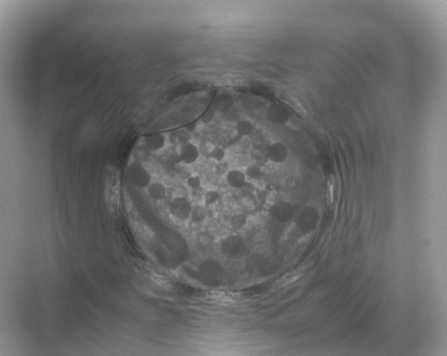 X0000070171251200606162047