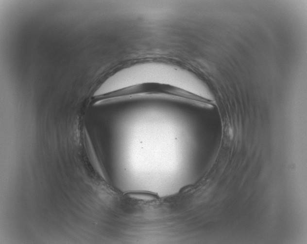 X0000070171252200606162047